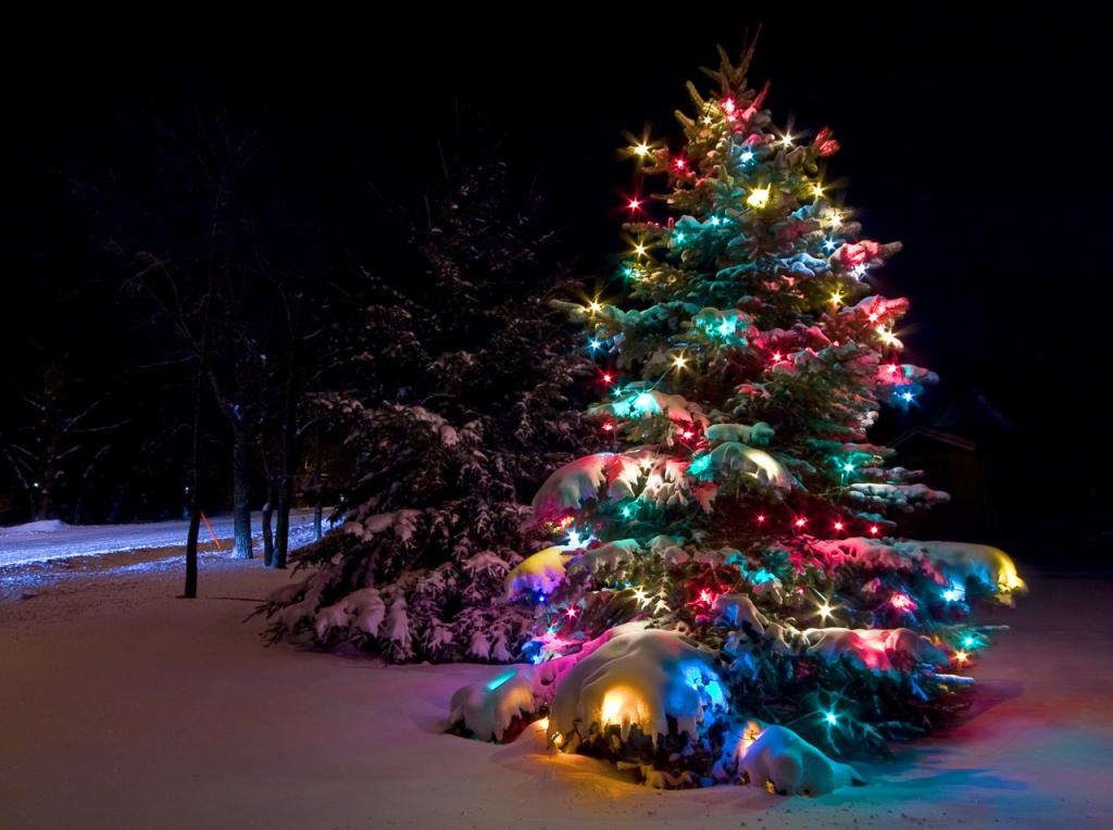 1 декабря в парках Подольска зажгут новогодние елки