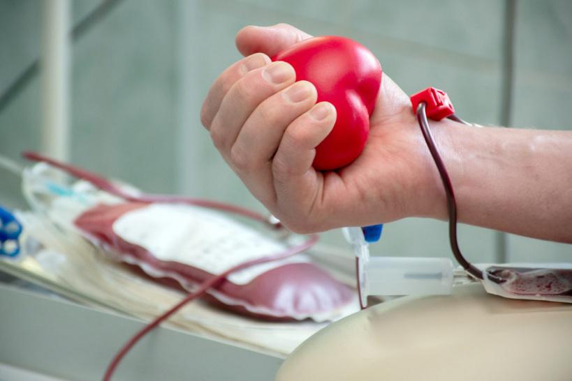 Доноров приглашают сдать кровь 