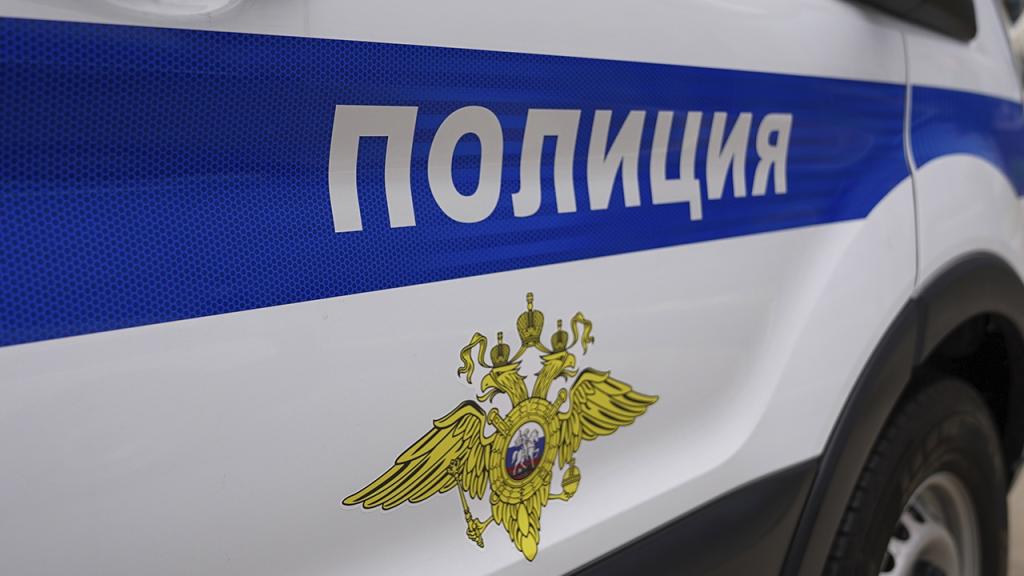 Сотрудниками полиции за нарушение общественного порядка в городском округе Подольск задержан мужчина
