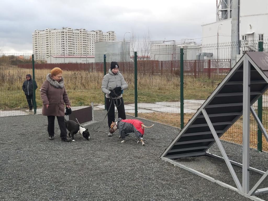 В микрорайоне Кузнечики появилась площадка для выгула и дрессировки собак